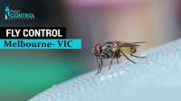 I Flies Control Melbourne image 4